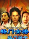 杨门女将之辕门斩子