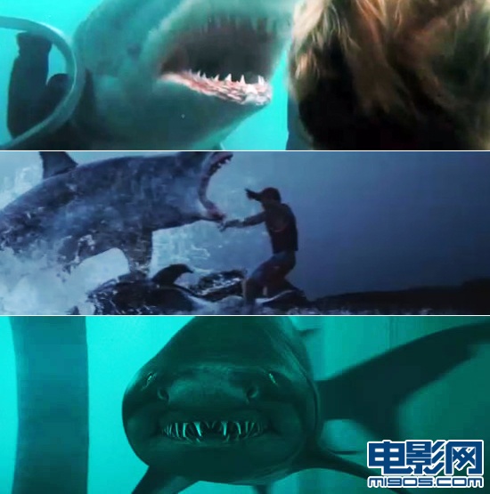 鲨鱼惊魂夜3d高清