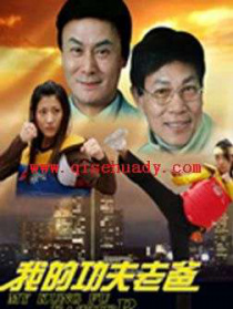 我的功夫老爸