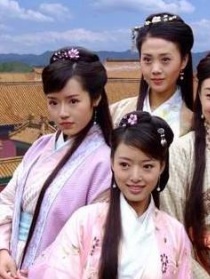 梅兰竹菊