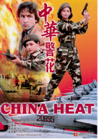 中华警花