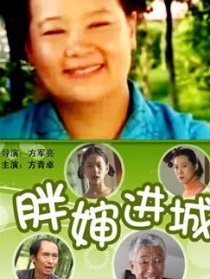 胖嬸進(jìn)城