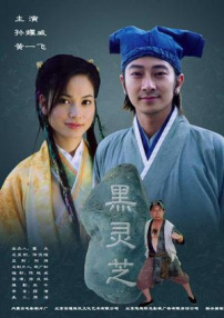 黑灵芝