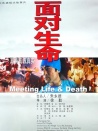 面对生命
