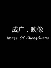 成广映像