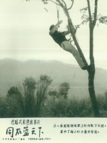 同在藍天下