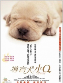 導(dǎo)盲犬小Q