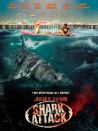 Jersey Shore Shark Attack