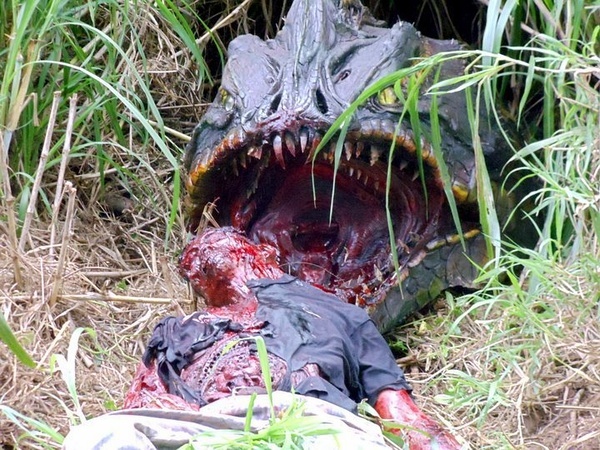 蛇鱼怪完整高清版