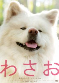 秋田犬蓬夫