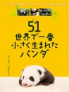 世界上最小的熊貓：51克