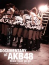 AKB48紀錄片：演出繼續(xù)