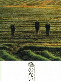 沒有橋的河流