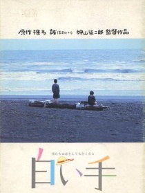 洁白的手