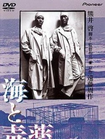 海与毒药