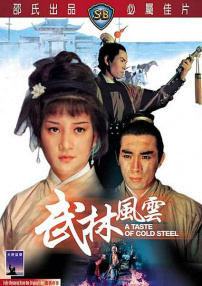武林風云