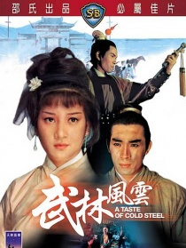 武林风云