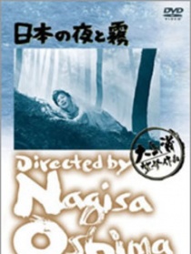 日本的夜与雾