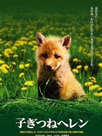 子狐物语