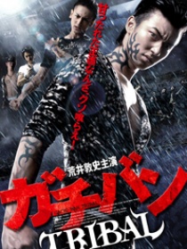 高校制霸 Tribal