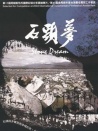 石頭夢