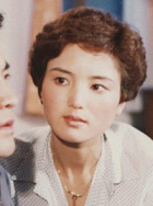 安素英
