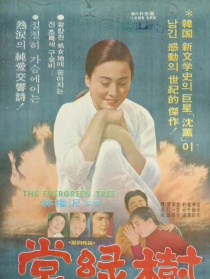 常綠樹