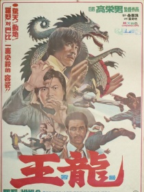 王龙