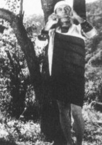 青山碧血