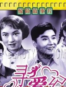 尋愛記