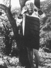 青山碧血