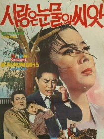 有愛(ài)就有淚