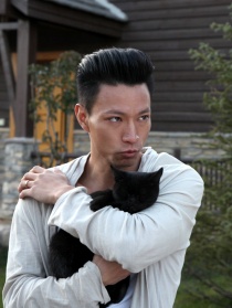 猫