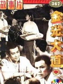 金光大道（中）