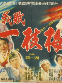 怪俠一枝梅