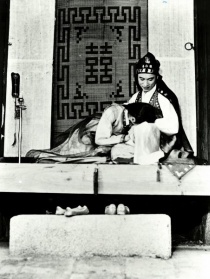高丽
