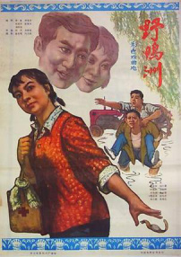野鴨洲