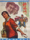 野鴨洲