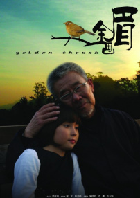 金畫(huà)眉