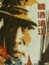 情洒浦江