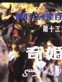 阿凡提的故事之奇婚记
