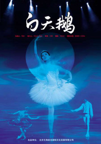 白天鵝