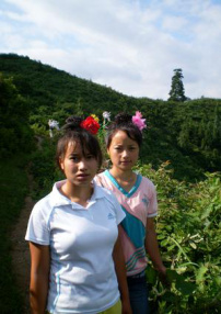 貴度姐妹記