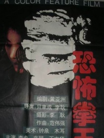 恐怖拳王