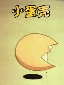 小蛋殼