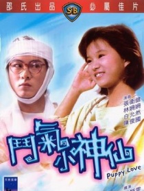 斗氣小神仙