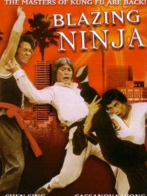 The Blazing Ninja