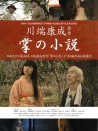 掌篇小說(shuō)