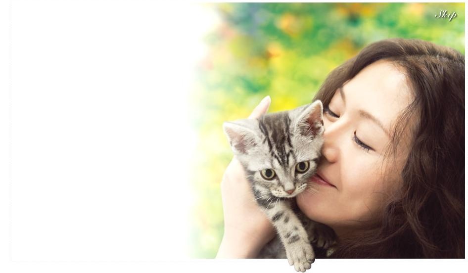 咕咕是一只猫_电影剧照_图集_电影网_1905.c