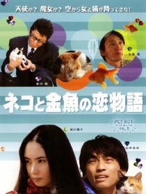 猫与金鱼的恋爱物语
